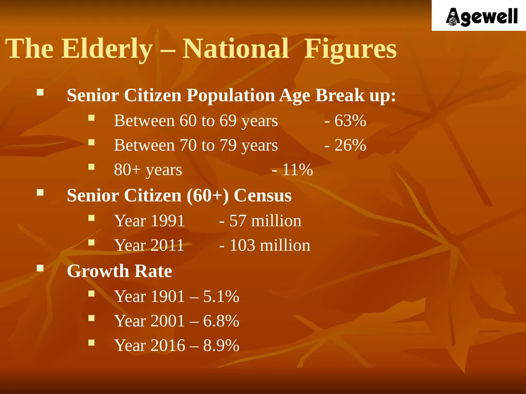 Agewell Foundation, India In Special Consultative - slide 8 of 26