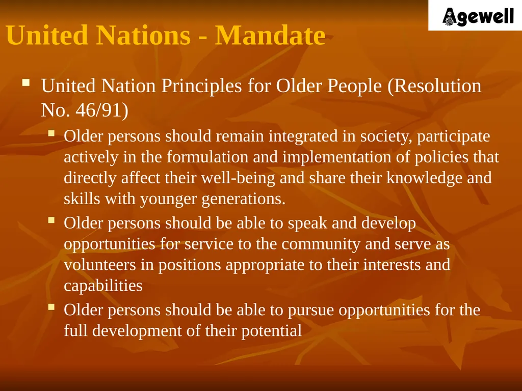 Agewell Foundation, India In Special Consultative - slide 9 of 26