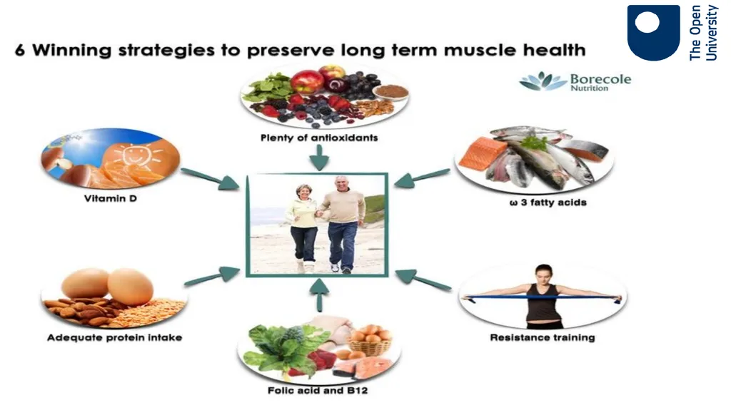Ageing Well Series Talk 3. Nutritional needs of - slide 13 of 48