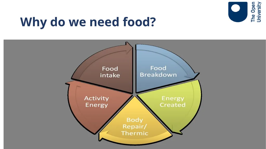 Ageing Well Series Talk 3. Nutritional needs of - slide 6 of 48