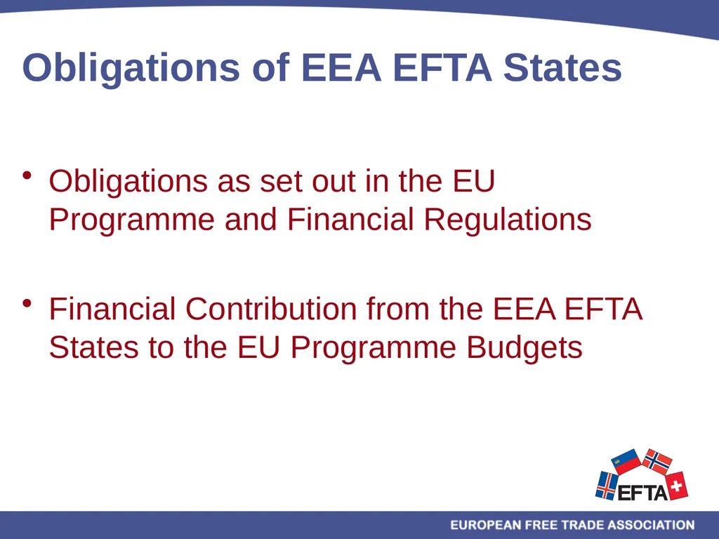 EU/EEA Programmes Multiannual Financial Framework - slide 7 of 28