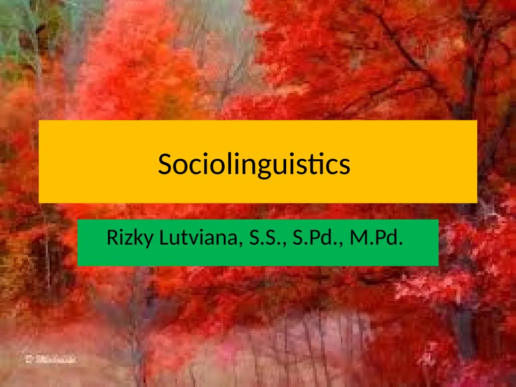 Sociolinguistics Rizky Lutviana, S.S., S.Pd.,