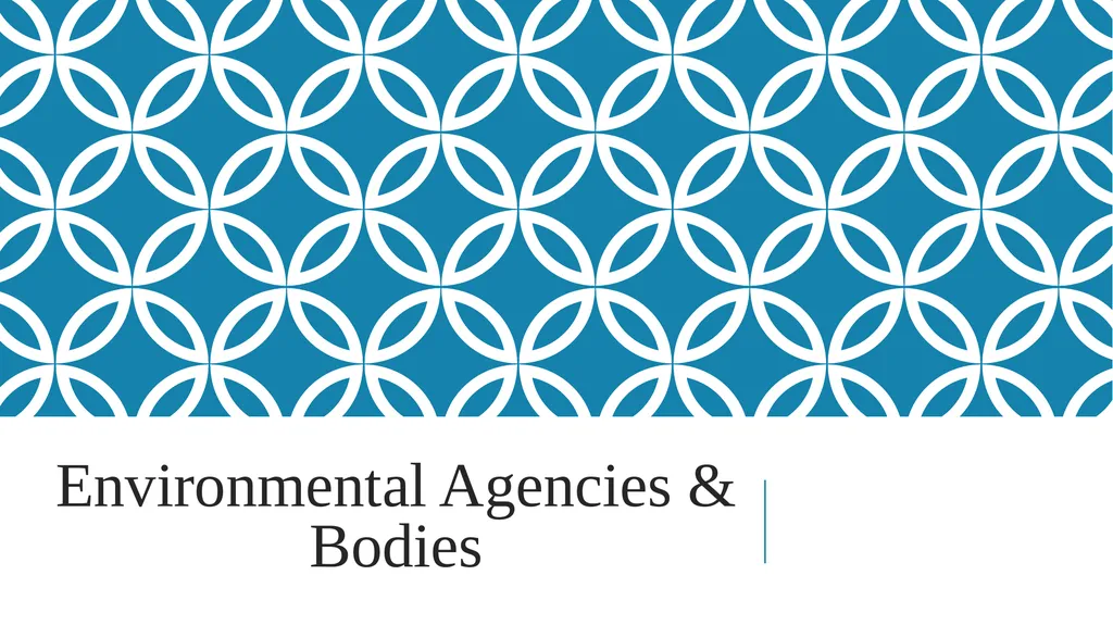 Jean monnet module – Doha courses on European - slide 9 of 25