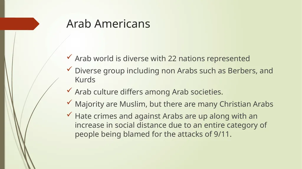 Race and ethnic inequalities An overview of the - slide 40 of 45