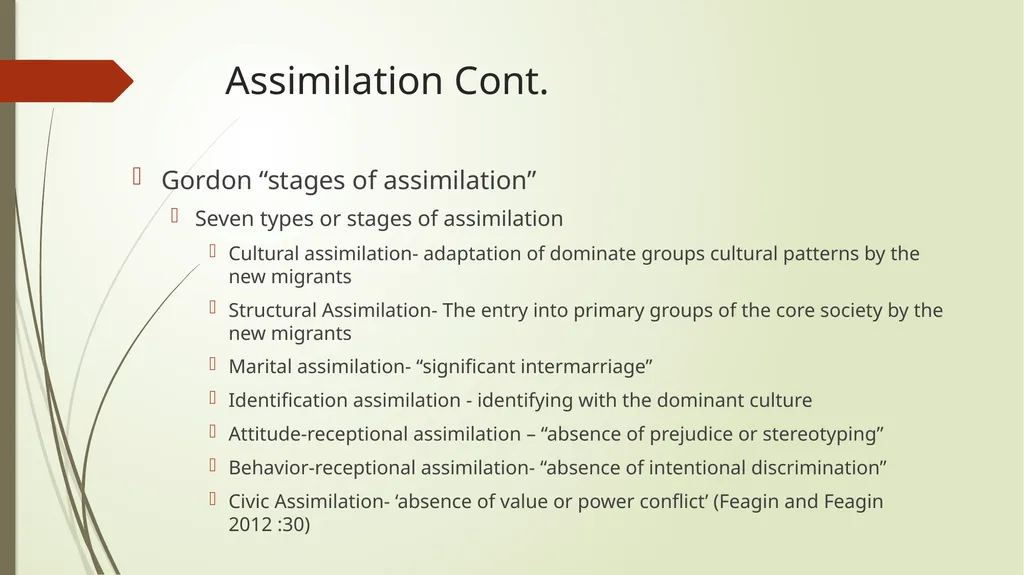 Race and ethnic inequalities An overview of the - slide 28 of 45