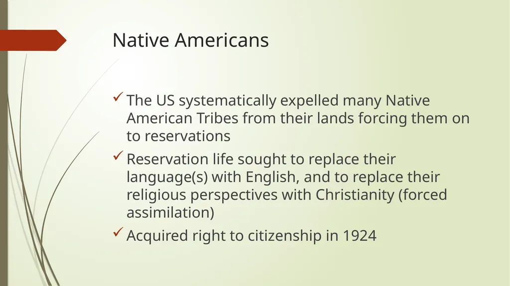 Race and ethnic inequalities An overview of the - slide 33 of 45