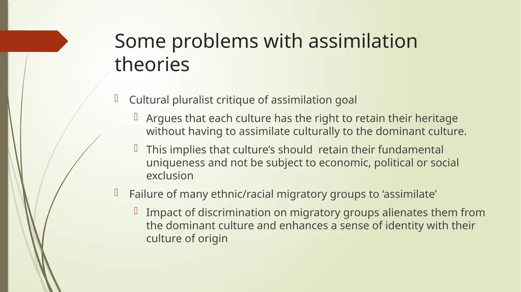 Race and ethnic inequalities An overview of the - slide 29 of 45