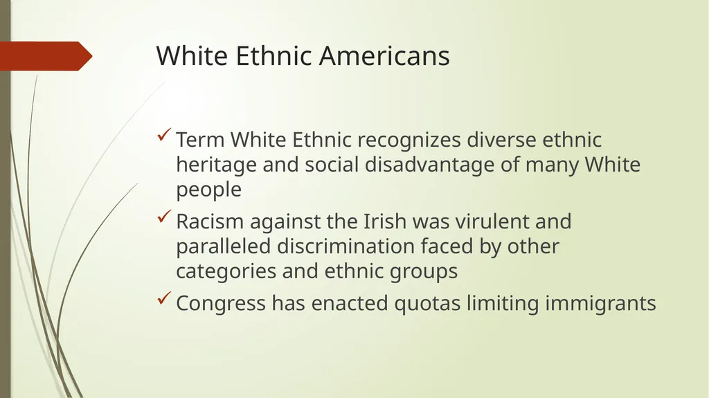 Race and ethnic inequalities An overview of the - slide 41 of 45