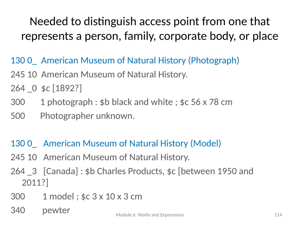 Describing works and expressions Module 6 Prepared - slide 114 of 163