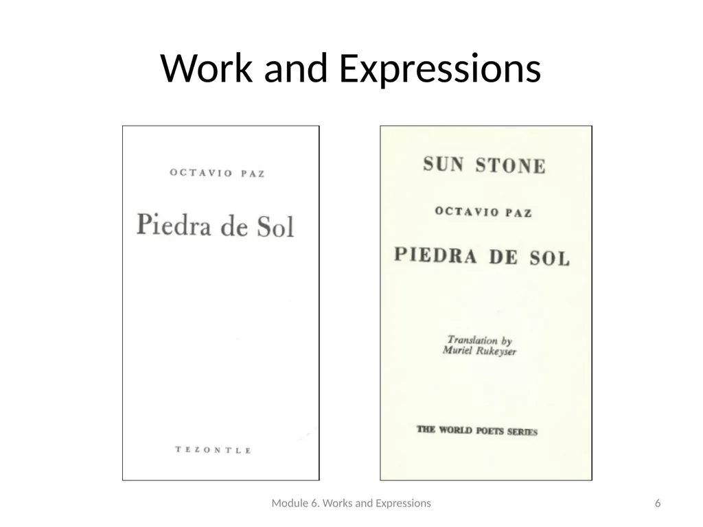 Describing works and expressions Module 6 Prepared - slide 6 of 163