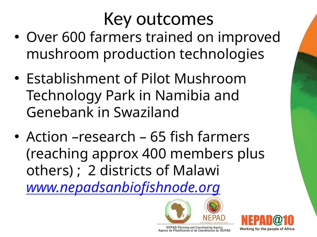 Science Technology and Innovation Programmes in - slide 14 of 35