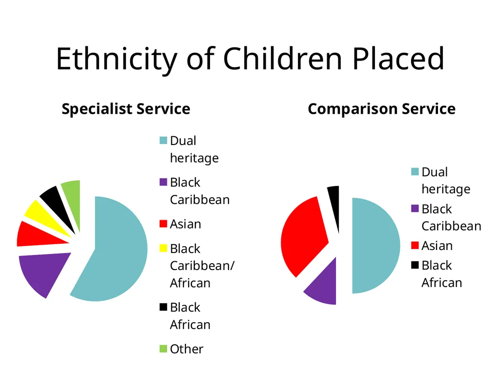 Themes, Issues, & Practice Dilemmas in Ethnic - slide 20 of 27