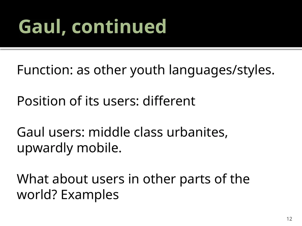 “Youth languages: What are we here for?” Jacomine - slide 12 of 42
