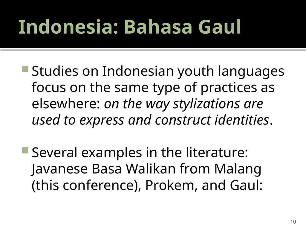 “Youth languages: What are we here for?” Jacomine - slide 10 of 42