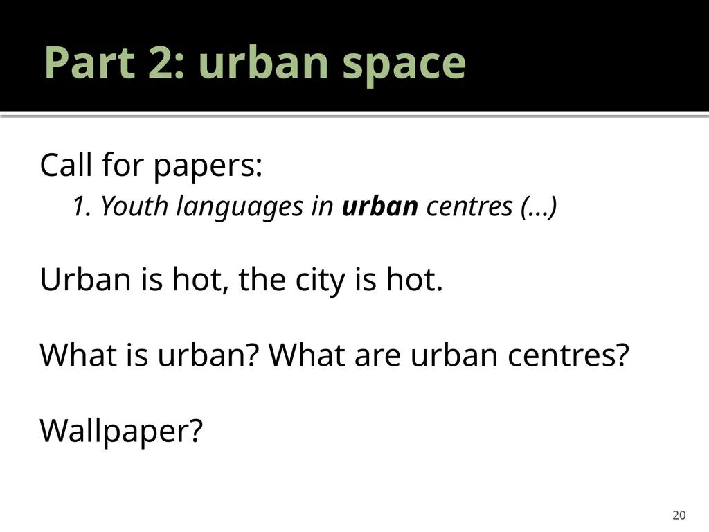 “Youth languages: What are we here for?” Jacomine - slide 20 of 42