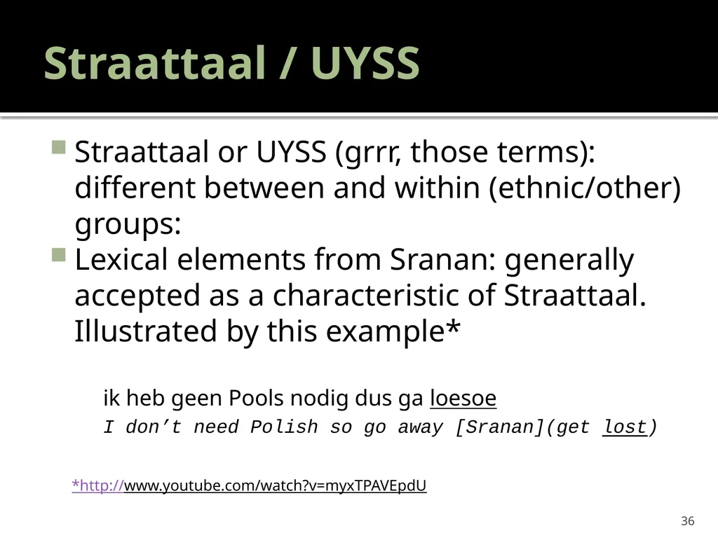 “Youth languages: What are we here for?” Jacomine - slide 36 of 42