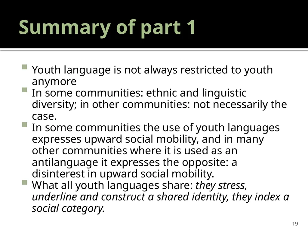 “Youth languages: What are we here for?” Jacomine - slide 19 of 42