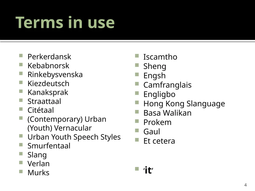 “Youth languages: What are we here for?” Jacomine - slide 4 of 42