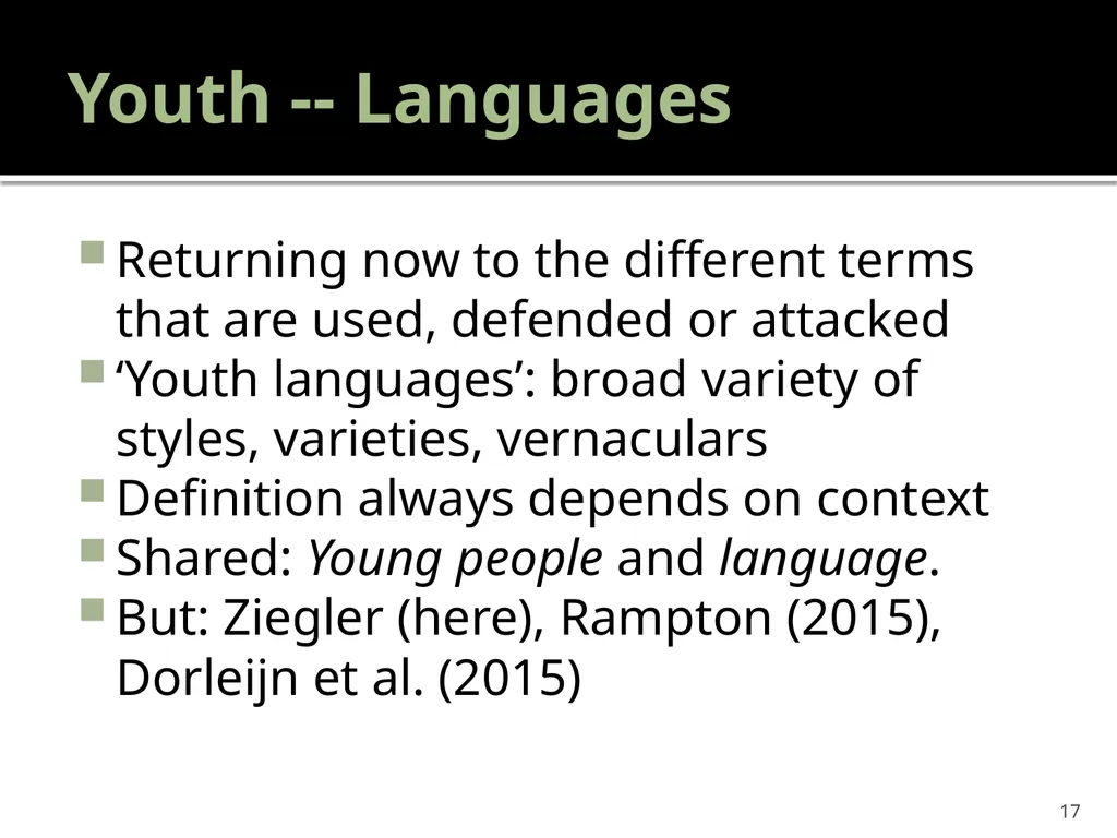 “Youth languages: What are we here for?” Jacomine - slide 17 of 42