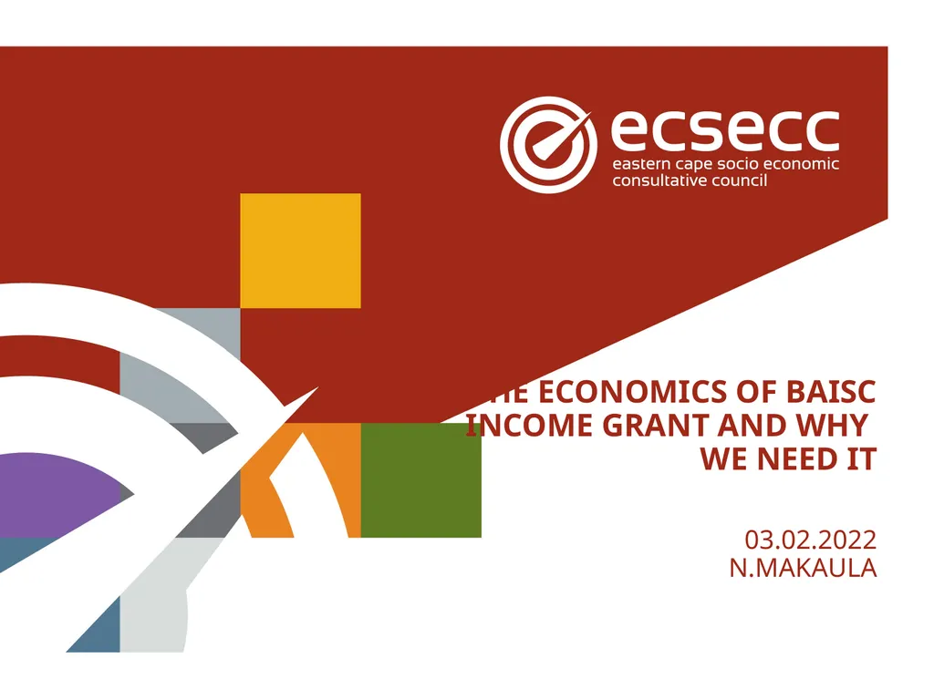 THE ECONOMICS OF BAISC INCOME GRANT AND WHY WE