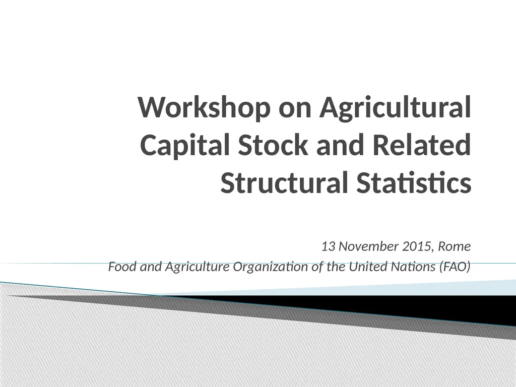 Workshop on Agricultural Capital Stock and Related