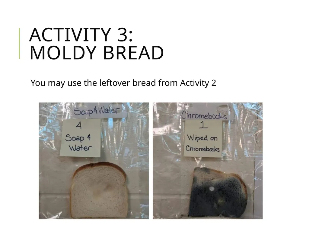 Food Science lessons Glen Li OSU Food Science and - slide 12 of 13