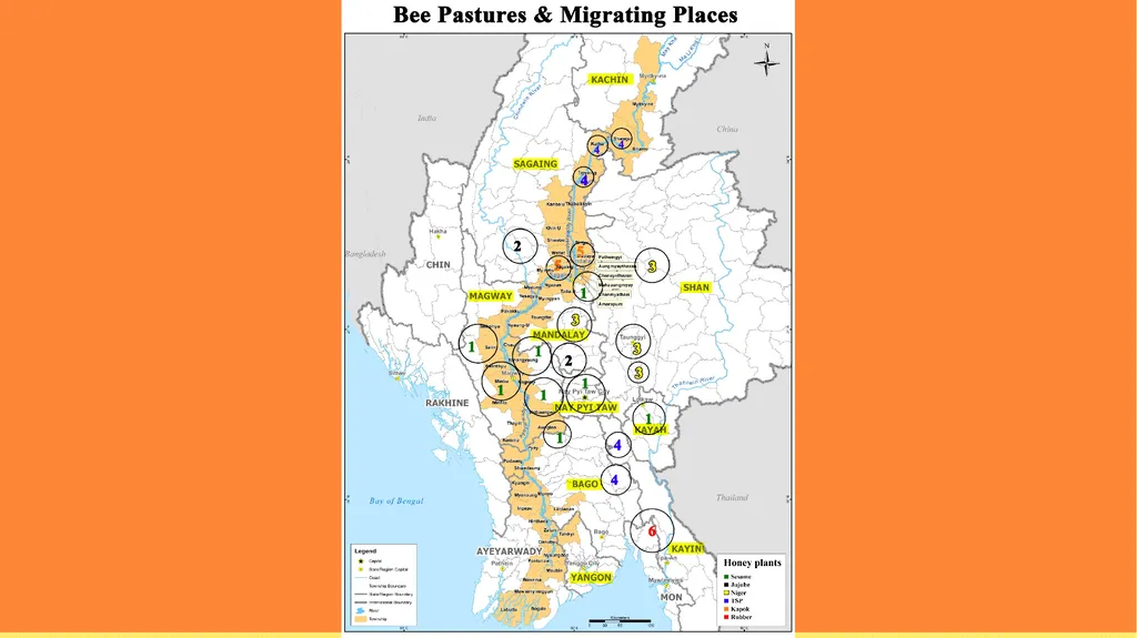 Challenges of exporting honey from Myanmar - slide 6 of 27