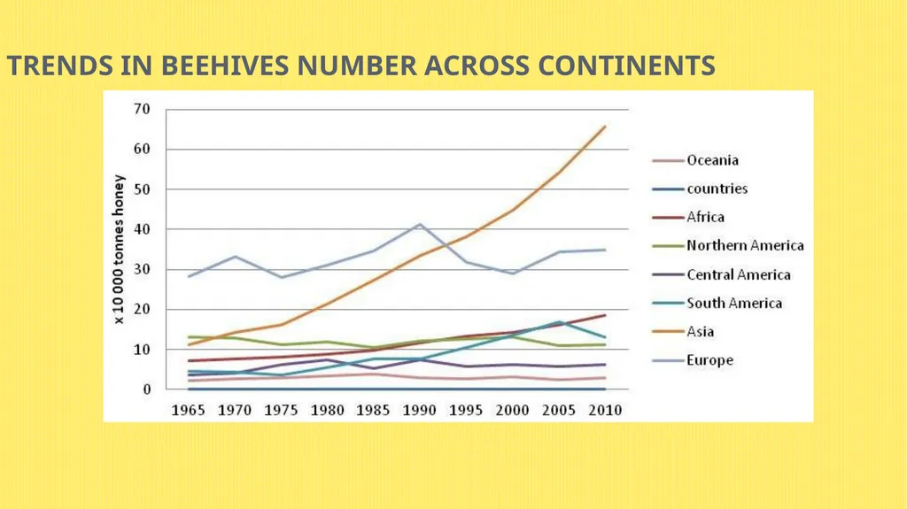 Challenges of exporting honey from Myanmar - slide 10 of 27