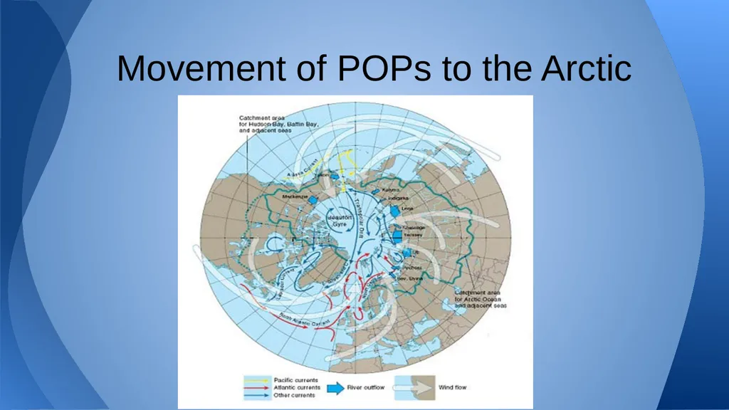 Persistent Organic Pollutant By Sarah, Chantal, - slide 28 of 30