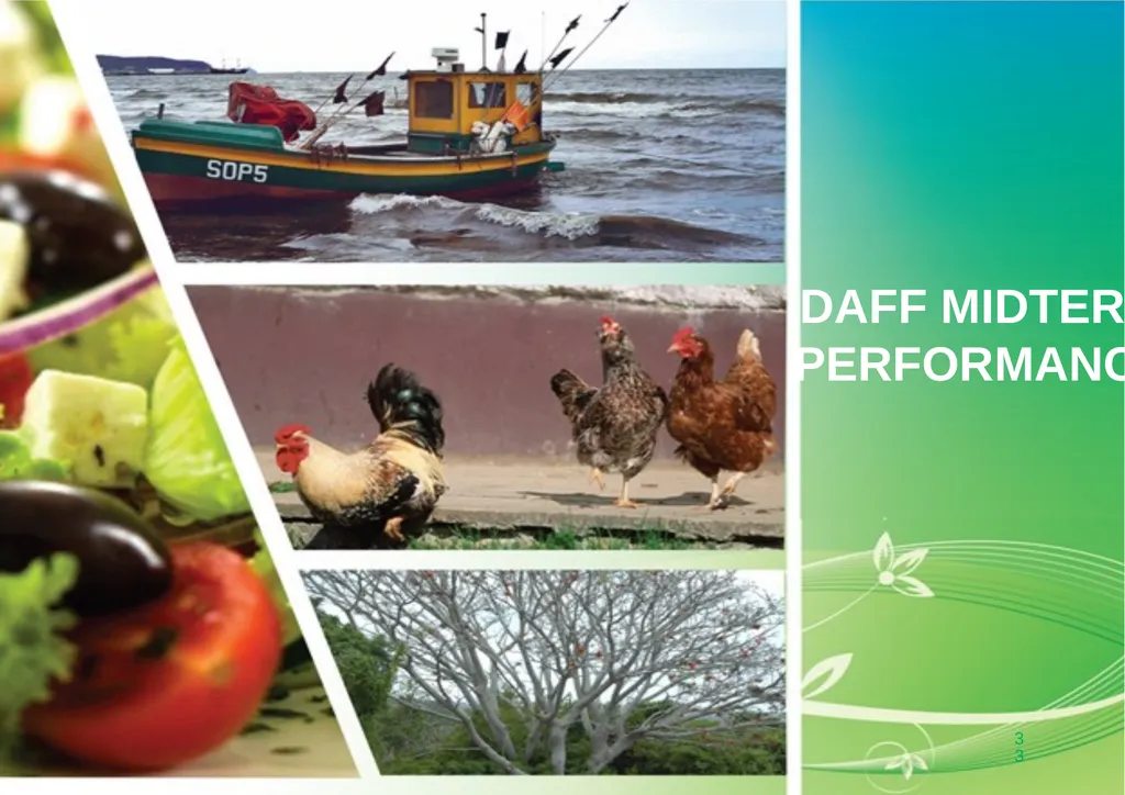 PRESENTATION TO THE PORTFOLIO COMMITTEE ON 8 - slide 33 of 67