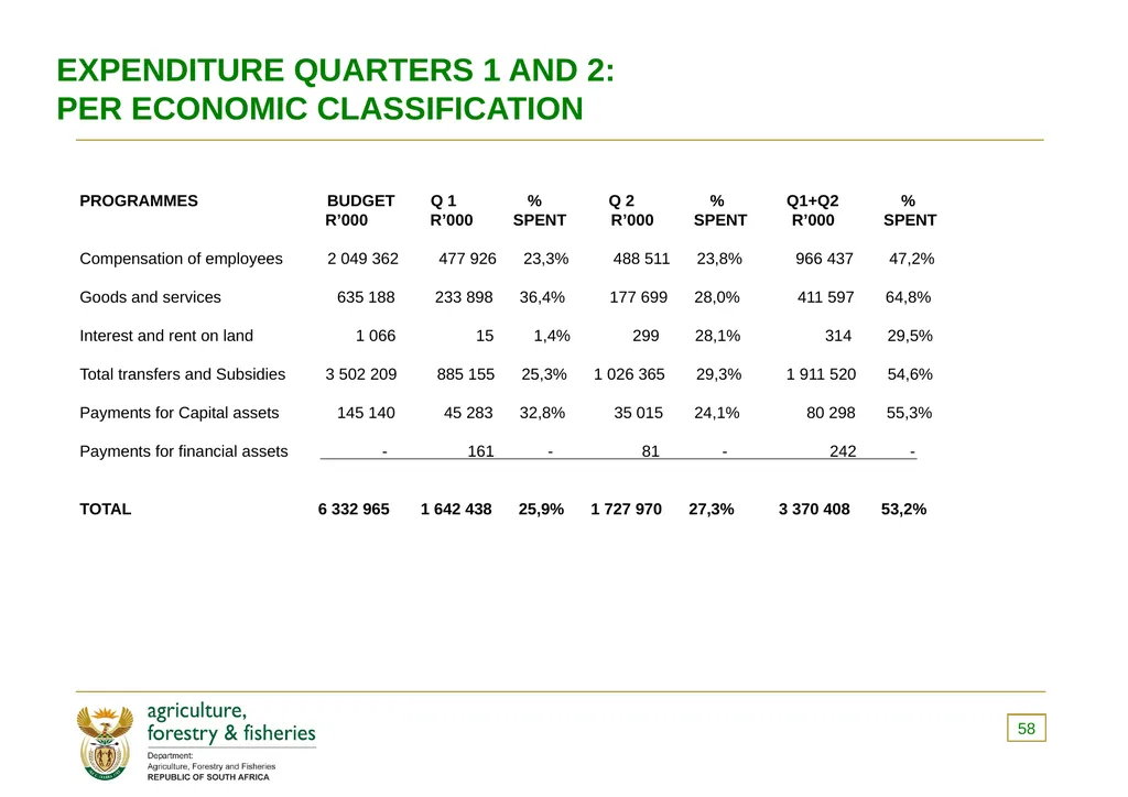 PRESENTATION TO THE PORTFOLIO COMMITTEE ON 8 - slide 58 of 67