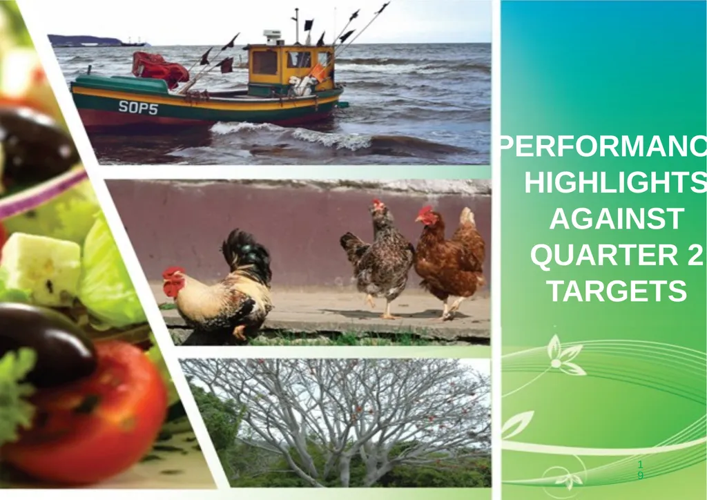 PRESENTATION TO THE PORTFOLIO COMMITTEE ON 8 - slide 19 of 67