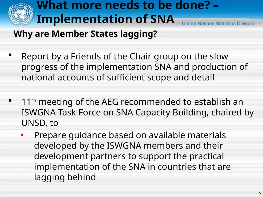 United Nations Statistics Division ISWGNA Task - slide 5 of 14