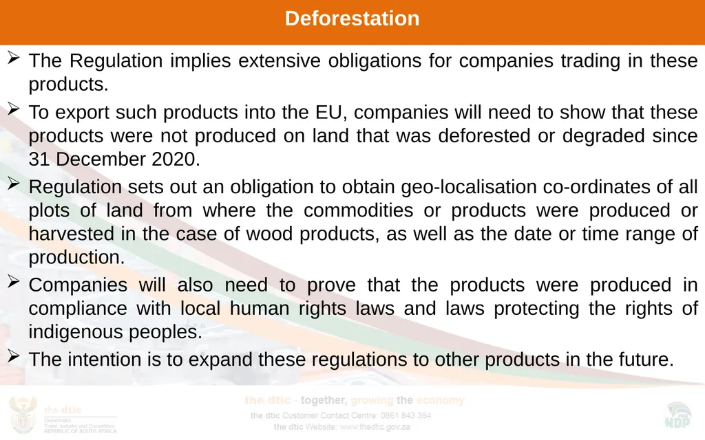 Decarbonisation impacts: Green Industrial Policies - slide 11 of 14