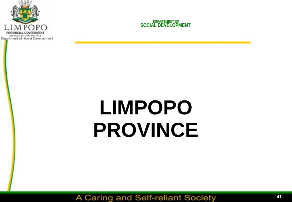 FOSTER CARE PROGRESS REPORT ON THE IMPLEMENTATION - slide 41 of 77