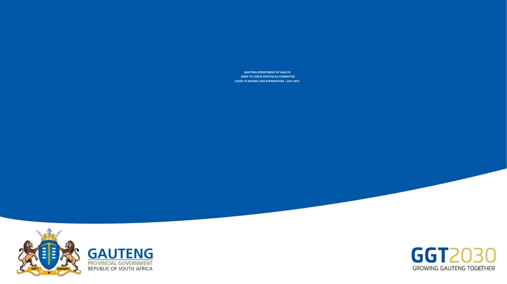 GAUTENG DEPARTMENT OF HEALTH BRIEF TO COGTA