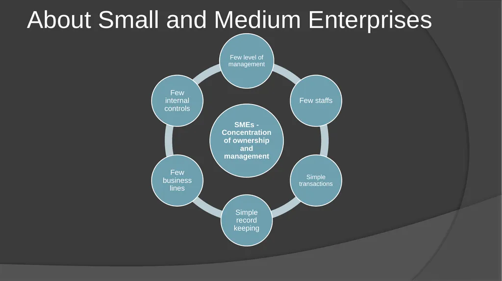Audit Documentation / Other important Standards - slide 4 of 25