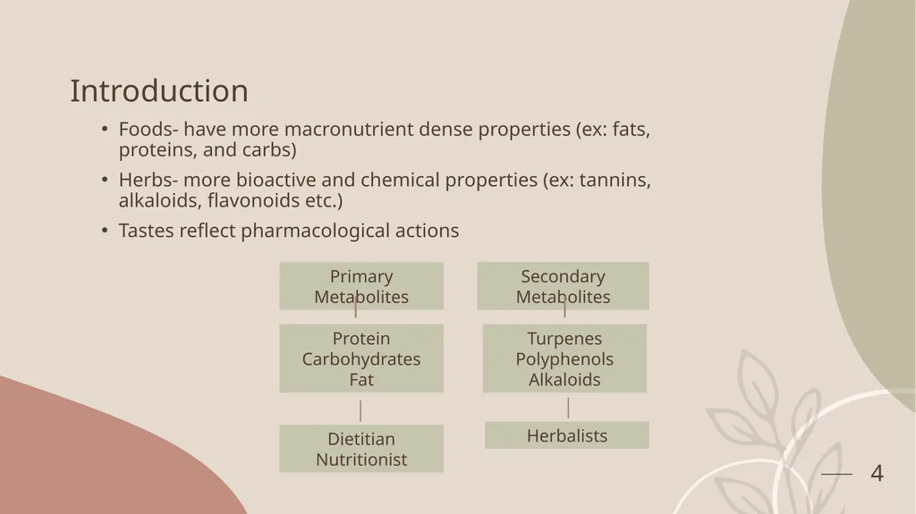 A Sensory Journey Through Herbs: Culinary and - slide 4 of 22