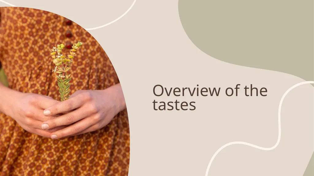A Sensory Journey Through Herbs: Culinary and - slide 6 of 22