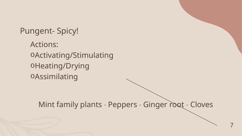 A Sensory Journey Through Herbs: Culinary and - slide 7 of 22