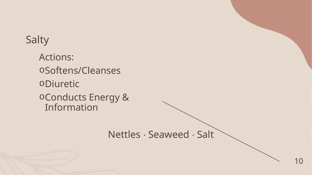A Sensory Journey Through Herbs: Culinary and - slide 10 of 22