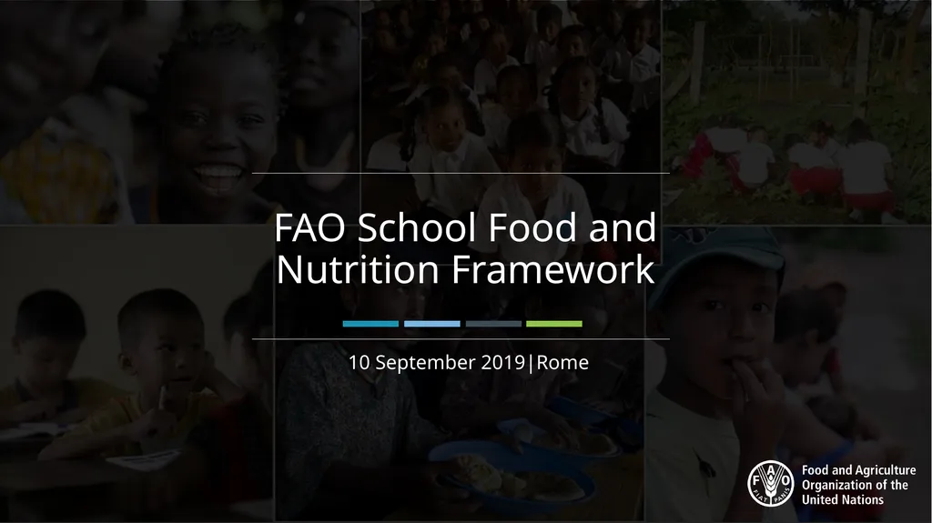 FAO School Food and Nutrition Framework 10