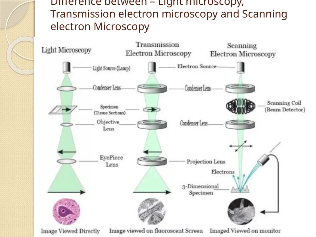 Electron microscope By Dr. Nelson Xess Department - slide 9 of 10