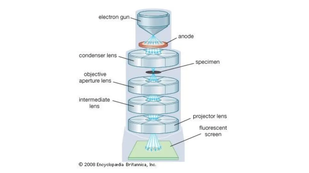 Electron Microscopy What is Electron Microscopy? - slide 5 of 12