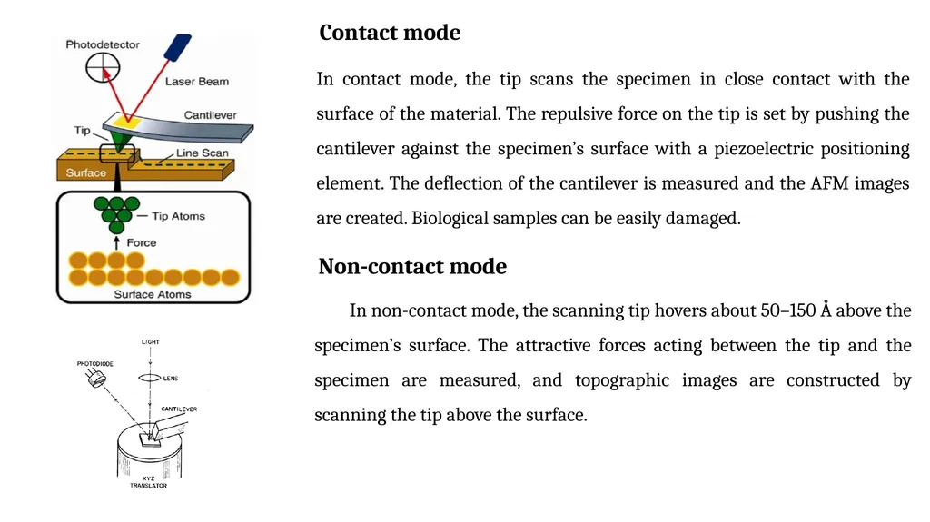 SCANNING ELECTRON MICROSCOPY, TRANSMISSION - slide 11 of 14
