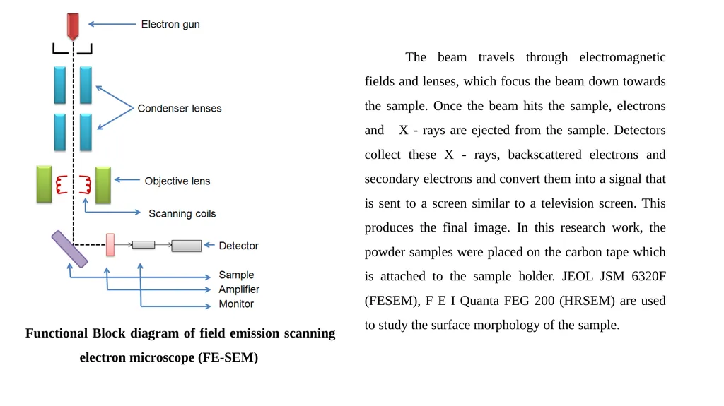 SCANNING ELECTRON MICROSCOPY, TRANSMISSION - slide 3 of 14