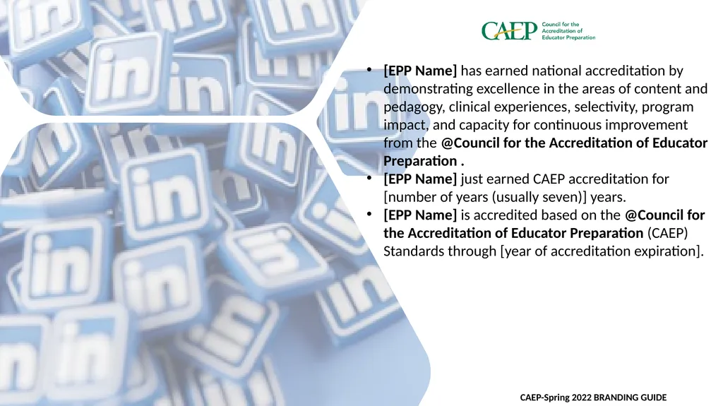 Spring 2022 Branding Guide Guidelines & Tips for - slide 12 of 27