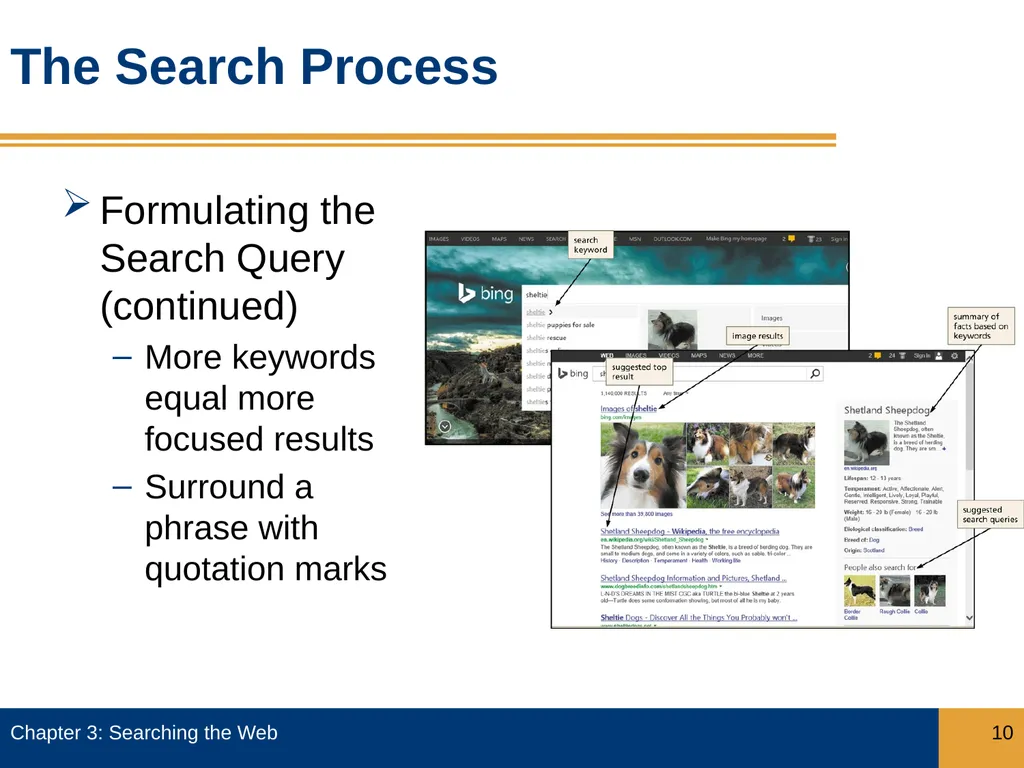 Objectives Describe how search engines work, and - slide 10 of 37