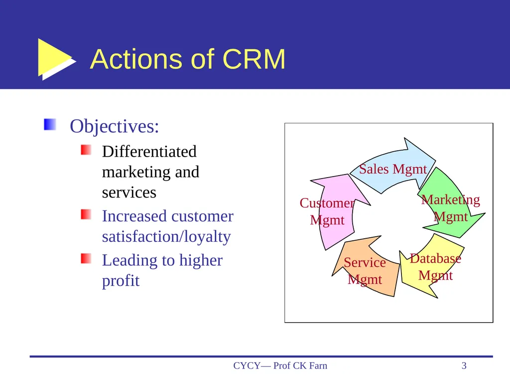 Business Data Analytics and CRM— Customer - slide 3 of 36