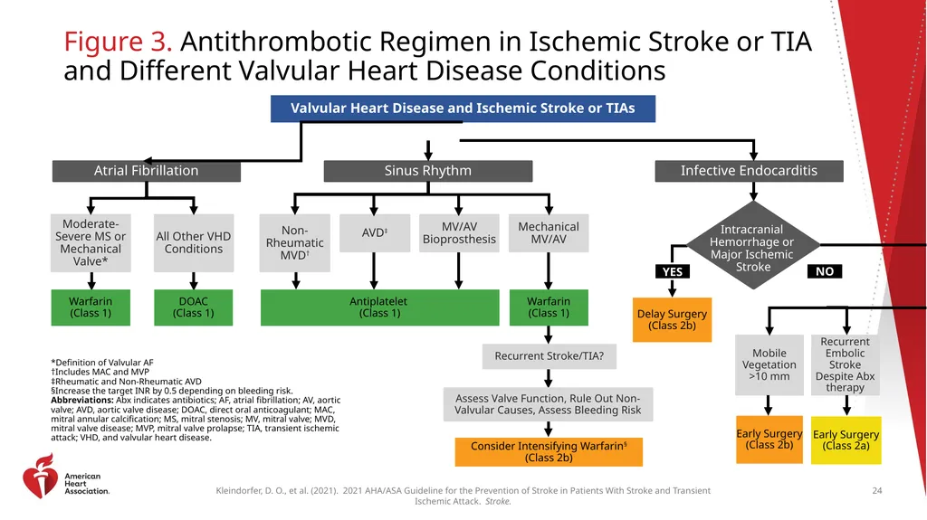 Clinical Update ADAPTED FROM: 2021 AHA/ASA - slide 24 of 43